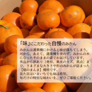 ふるさと納税 日高町 甘い!どの坂果樹園の早生...の詳細画像2