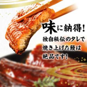 ふるさと納税 久留米市 国産うなぎ蒲焼 約200...の商品画像