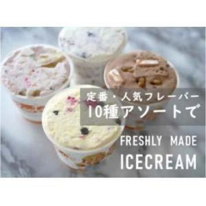 ふるさと納税 茅ヶ崎市 【新登場!】湘南茅ヶ崎の人気店 プレンティーズのアイスクリーム(バラエティセ...
