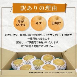 ふるさと納税 八千代市 2026年発送先行受付...の詳細画像2