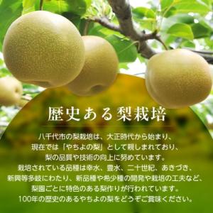 ふるさと納税 八千代市 2026年発送先行受付...の詳細画像3
