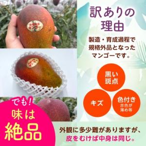 ふるさと納税 西原町 【2027年6月から順次...の詳細画像2