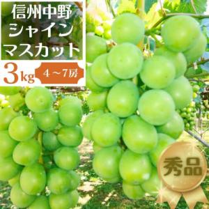 ふるさと納税 中野市 長野県中野市産ぶどう・シャインマスカット秀品 3kg箱 4〜7房入り