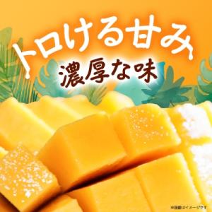 ふるさと納税 西原町 【2027年8月中旬から...の詳細画像1