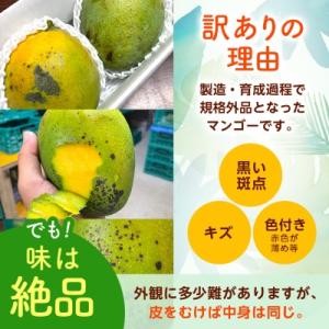 ふるさと納税 西原町 【2027年8月中旬から...の詳細画像2