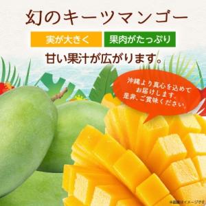 ふるさと納税 西原町 【2027年8月中旬から...の詳細画像3