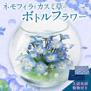 ふるさと納税 久留米市 ネモフィラとカスミ草のボトルフラワー(久留米絣敷物付き)