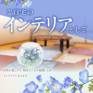 ふるさと納税 久留米市 ネモフィラとカスミ草の...の詳細画像2