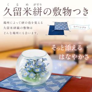 ふるさと納税 久留米市 ネモフィラとカスミ草の...の詳細画像3