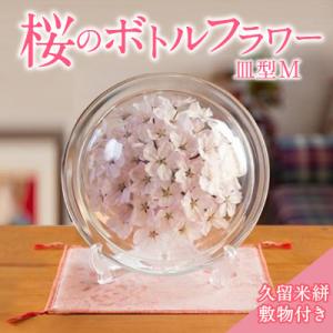 ふるさと納税 久留米市 桜のボトルフラワーM(敷き物付き)
