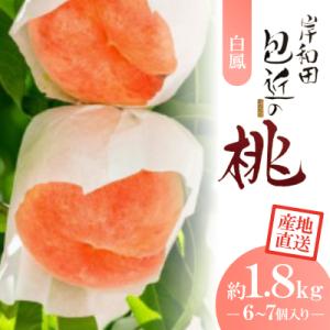 ふるさと納税 岸和田市 【白鳳】特選　包近の桃(かねちか)約1.8kg　産地直送