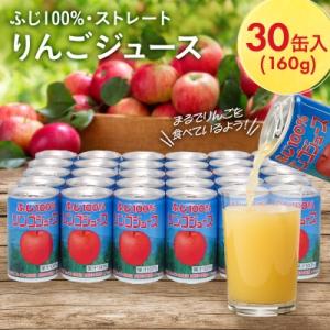 ふるさと納税 中野市 ふじ100%りんごジュース 160g×30缶入