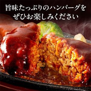 ふるさと納税 宮崎市 デミグラスハンバーグ 2...の詳細画像1
