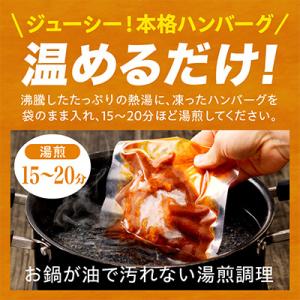 ふるさと納税 宮崎市 デミグラスハンバーグ 2...の詳細画像2