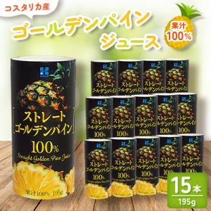 ふるさと納税 八千代市 南国コスタリカ産 ゴールデンパイン 果汁100%ジュース(195g×15本)