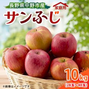 ふるさと納税 中野市 【訳あり】【先行受付】 りんご サンふじ 10kg 家庭用 長野県産