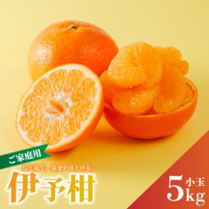 ふるさと納税 松山市 【先行予約】2027年2月上旬より発送 宮内伊予柑 家庭用 訳あり 小玉約5kg Lサイズ以下｜Yahoo!ふるさと納税