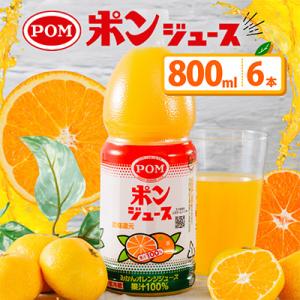 ふるさと納税 松山市 POMポンジュース 800mlペット｜Yahoo!ふるさと納税