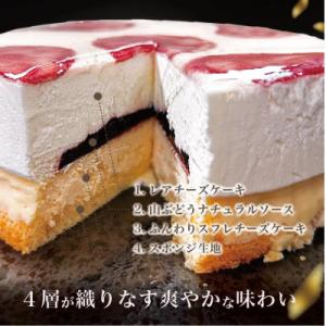 ふるさと納税 久慈市 【いわて・久慈 山ぶどう...の詳細画像1