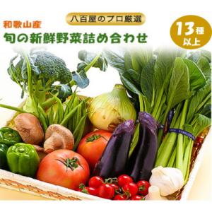 ふるさと納税 印南町 旬の新鮮野菜セット　大満足な13種以上【野菜詰め合わせ】
