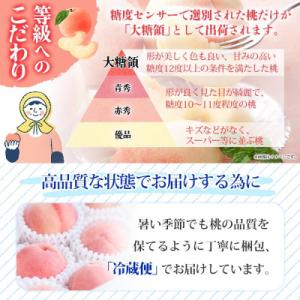 ふるさと納税 笛吹市 〈2026年先行予約〉桃...の詳細画像2