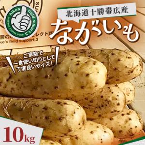 ふるさと納税 帯広市 北海道十勝帯広産 ながいも 10kg