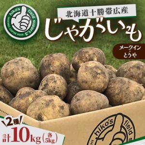ふるさと納税 帯広市 北海道十勝帯広産 じゃがいも 2種10kg(メークイン とうや )