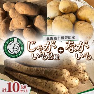 ふるさと納税 帯広市  じゃがいも2種+ながいも 計10kgセット　北海道十勝帯広産