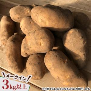 ふるさと納税 帯広市 じゃがいも2種+ながいも...の詳細画像1
