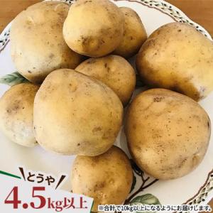 ふるさと納税 帯広市 じゃがいも2種+ながいも...の詳細画像2