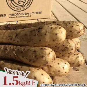 ふるさと納税 帯広市 じゃがいも2種+ながいも...の詳細画像3