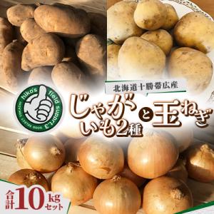 ふるさと納税 帯広市 じゃがいも2種 玉ねぎ 合計10kgセット 北海道十勝帯広産