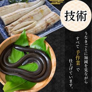 ふるさと納税 湖西市 【蒲焼き用タレ付き】浜名...の詳細画像1