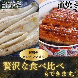 ふるさと納税 湖西市 【蒲焼き用タレ付き】浜名...の詳細画像3
