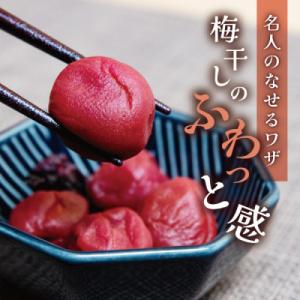 ふるさと納税 宮城県 【無添加・塩分約17%】...の詳細画像1
