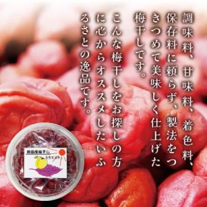 ふるさと納税 宮城県 【無添加・塩分約17%】...の詳細画像2