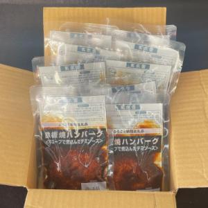 ふるさと納税 飯塚市 鉄板焼ハンバーグ(デミソ...の詳細画像2