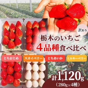 ふるさと納税 矢板市 [訳あり]栃木県産いちご 贅沢 4品種食べ比べ 計1,120g(280g×4P)農園直送