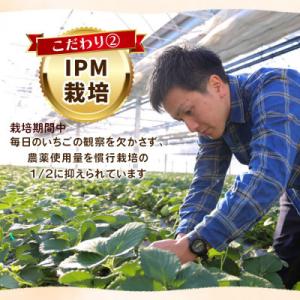 ふるさと納税 矢板市 【先行受付】【訳あり】栃...の詳細画像2