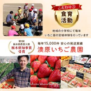 ふるさと納税 矢板市 【先行受付】【訳あり】栃...の詳細画像3