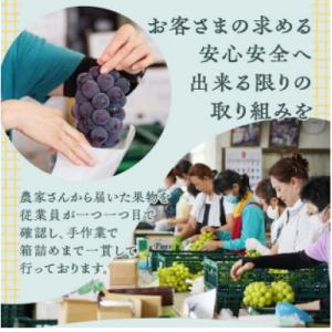 ふるさと納税 甲州市 厳選契約農家のシャインマ...の詳細画像1