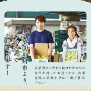 ふるさと納税 甲州市 厳選契約農家のシャインマ...の詳細画像2