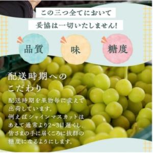 ふるさと納税 甲州市 厳選契約農家のシャインマ...の詳細画像3