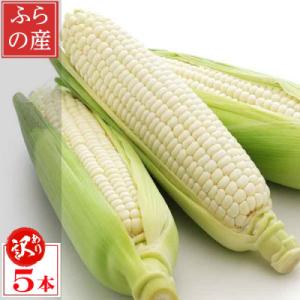 ふるさと納税 富良野市 食べ比べホワイトコーンとイエローコーン ふるさと納税 富良野市 食べ比べホワイトコーンとイエローコーン