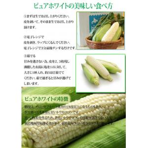 ふるさと納税 富良野市 2026年先行予約 北...の詳細画像2