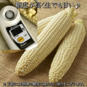 ふるさと納税 富良野市 2026年先行予約 北...の詳細画像3