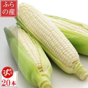 ふるさと納税 富良野市 2027年先行予約　北海道富良野産 生で食べられる白いとうもろこし ピュアホワイト 訳あり 20本