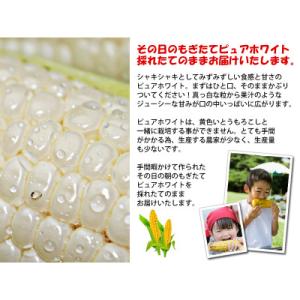 ふるさと納税 富良野市 2027年先行予約 北...の詳細画像3