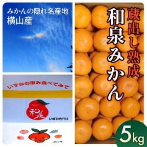 ふるさと納税 和泉市 隠れ名産地　蔵出し熟成和泉みかん(中玉・大玉サイズミックス)5kg