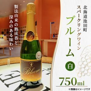 ふるさと納税 池田町 十勝ワイン ブルーム白 1本